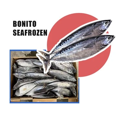 Sjófrosinn Bonito